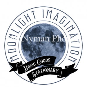 moonlight imagination logo
